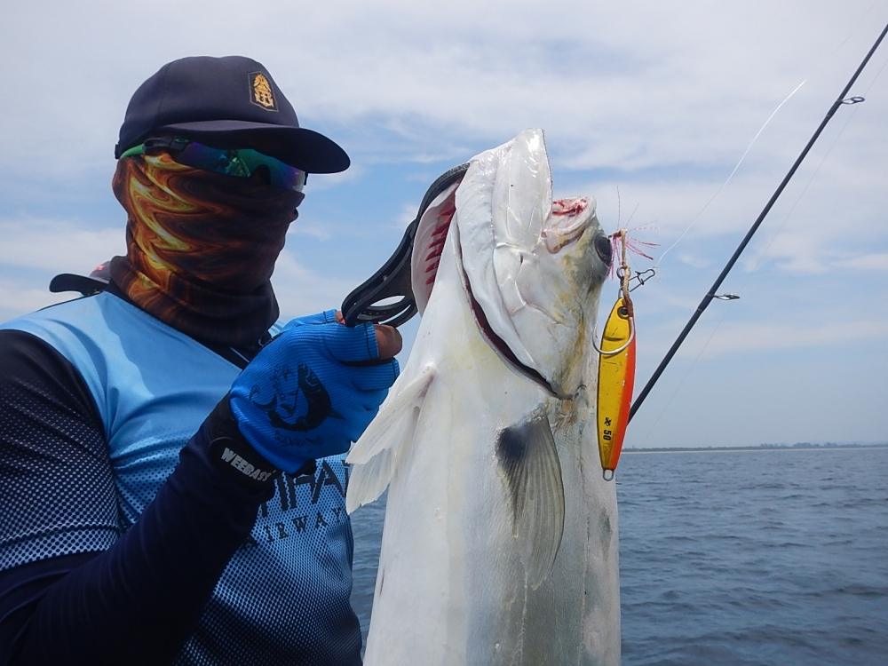 
 [center]จากเหยื่อยืมคันยืม มันหมายจิงจร๊งๆๆๆ :laughing: 

[b]LURE : Jig Xesta Afterburner 50 g[