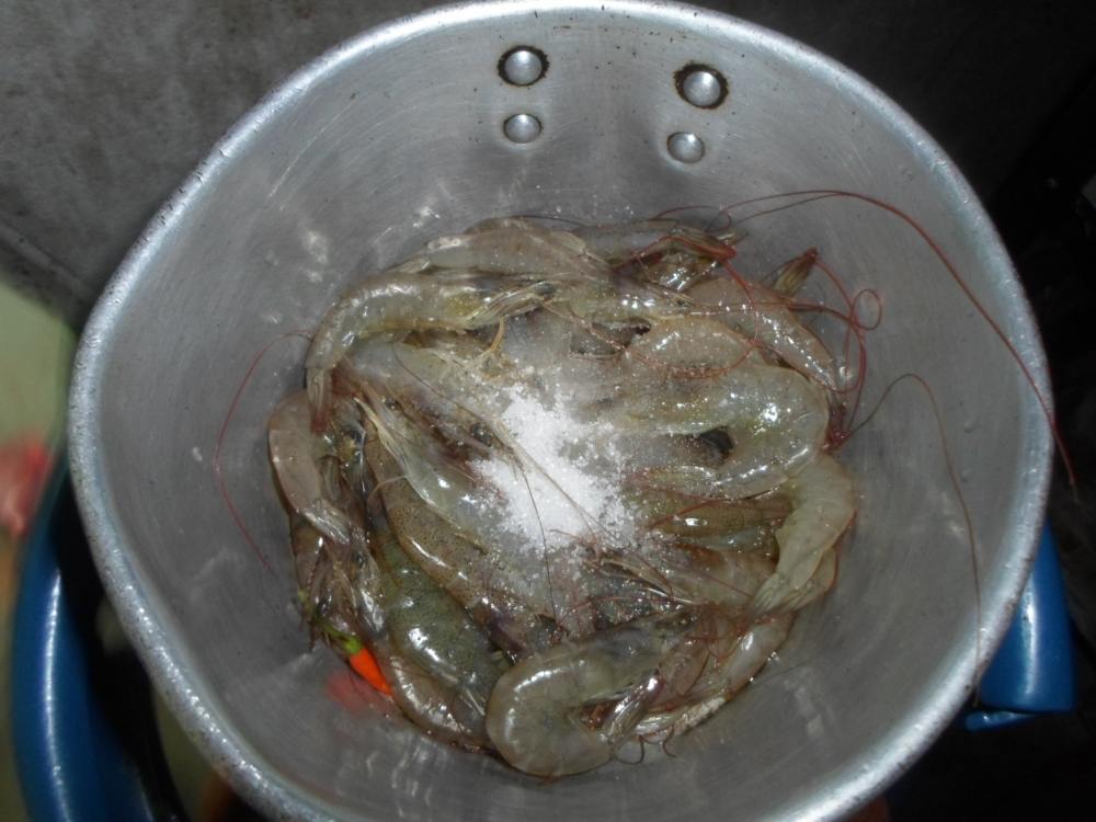 กุ้งสดๆๆต้มเนื้อหวานมากคับ คงต้องลากันด้วยภาพนี้คับ ไว้ปลายเดือนเมษาจะไปแก้มือปูทะเล แล้วจะนำมาให้ชม