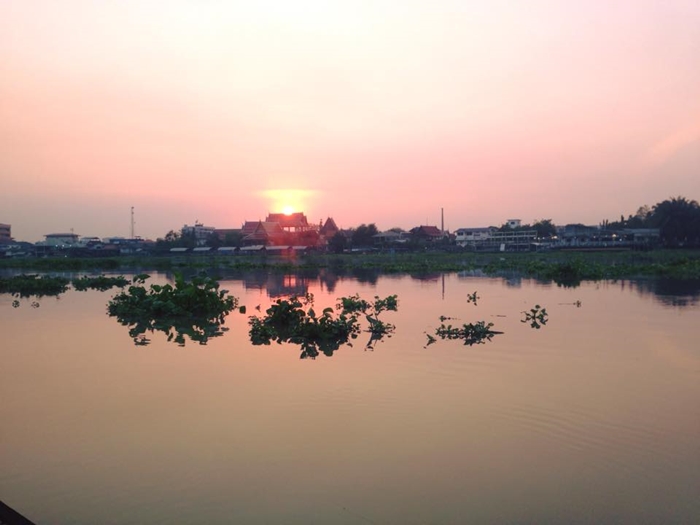 ใบสุดท้ายก่อนเอาเรือเก็บครับ 

แม่น้ำเจ้าพระยามีปลาให้ค้นหาอีกมากมาย  ออกตกที่ไรมีความสุขทุกครั้ง 