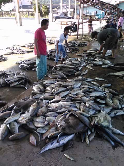 ทริปที่ผ่านมาได้ไม่เยอะครับ  1,400 กว่ากิโลเอง  ทริปผม ขอ 500 โล  ก็พอครับ   :grin: :grin: :grin: :g