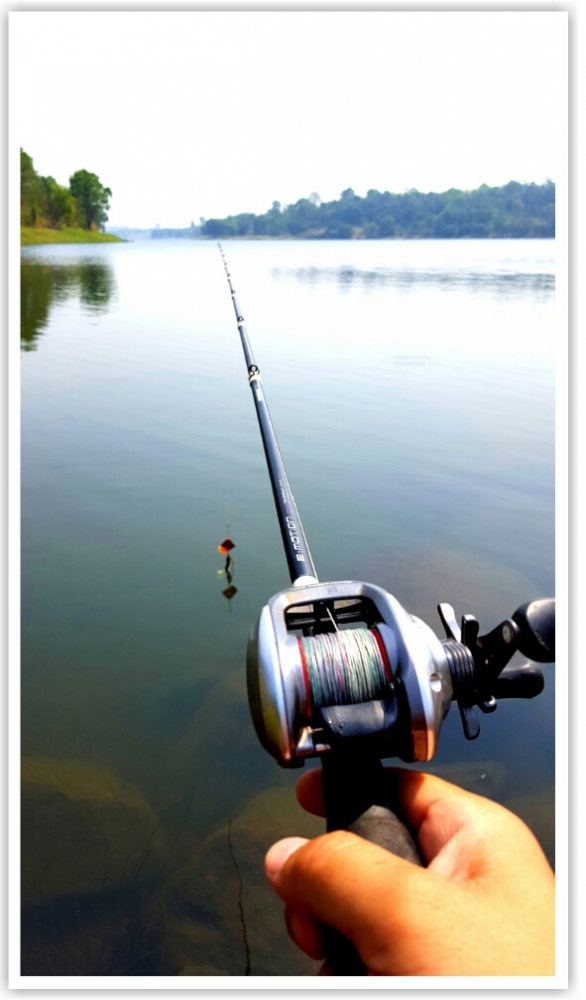 ไม่ได้มาซะนานครับ ขอ แอ๊บแบ้ว ซักภาพ 
รอก Shimano Scorpion DC7
คัน Berkley E-Motion (Micro Gide)