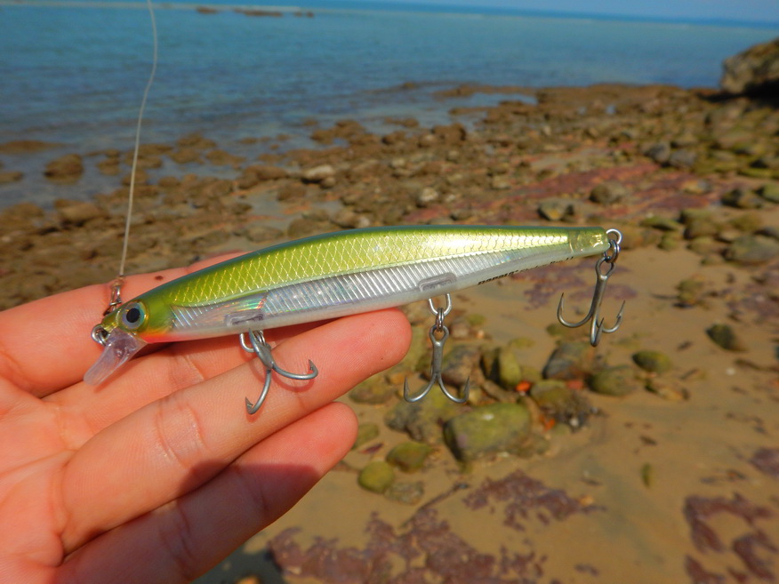 

เอาเหยื่อตัวนี้มาลองแคะปลาตามหินดูครับ Rapala shadow rap 11"  :love: :love: :love: :cheer: :che