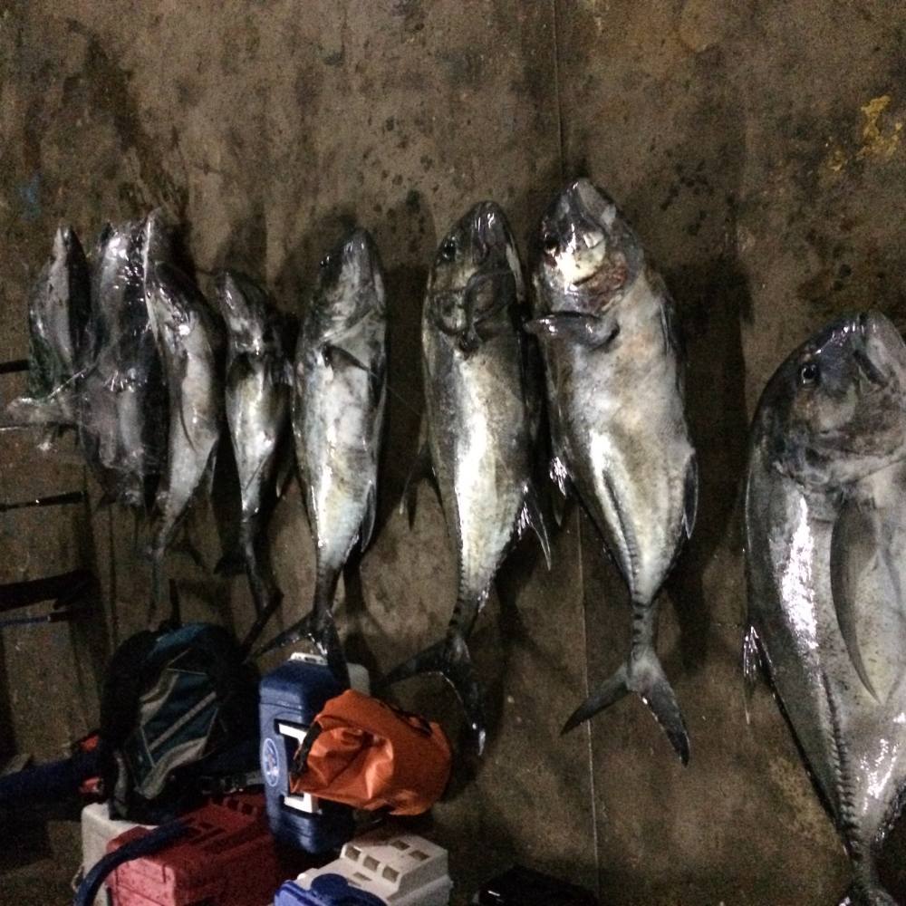 ผลงานโดยรวมใด้มา7ตัวปลาโออีกสิบกว่าตัวขาดไปเสียสามตัวครับรอบนี้เหยื่อจิ๊กที่ไช้นำ้หนัก150gครับพอใด้ส