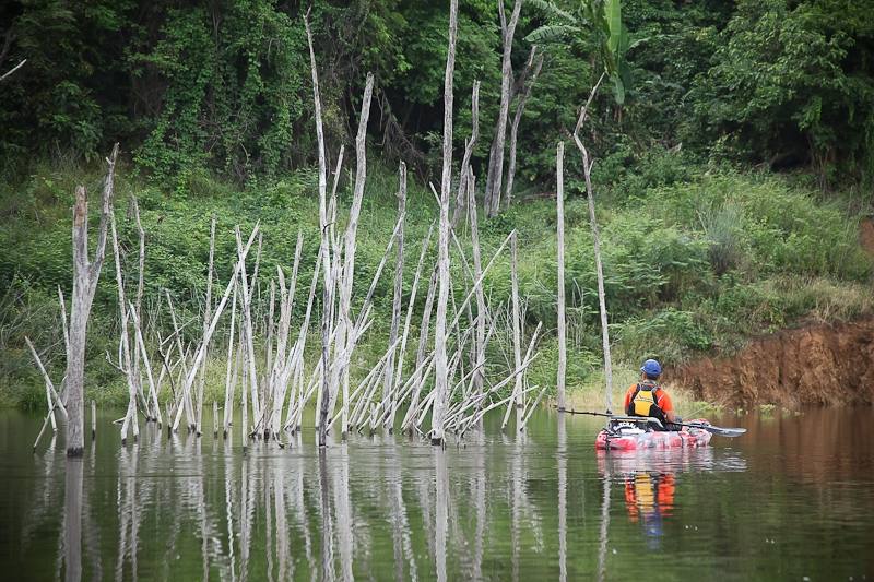  [center] [b]

หมายสวยๆ แต่ปลาอยู่กลางอ่าว 5555

Kayak: Feelfree Lure 11.5

Rod: Geecrack DD G