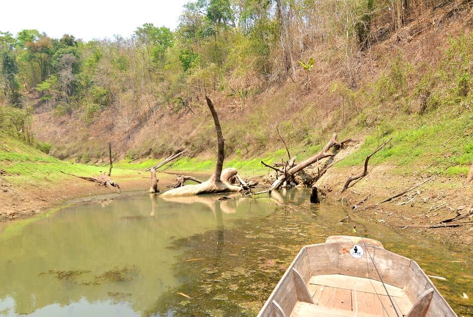  [center]

** หุบนี้ก่อนที่เรือจะเข้า....เห็นมีช่อนไล่กัดลูกปลาอยู่ข้างหน้า

เลยให้น้องเบนซ์ที่อ