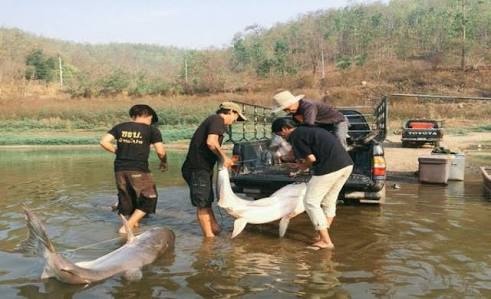 อีกภาพที่ทำหัยรู้สึกเสียดายฝุดๆ ตีอกชกหัว ทั้งสงสาร ทั้งเสียดาย  วิกฤตมักเป็นโอกาสเสมอครับ หลังจาก เ