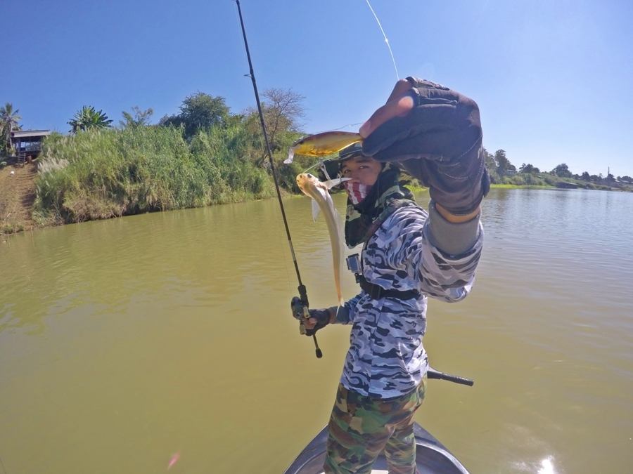 


 [b][center]RAPALA SHALLOW SHAD RAP 7เซ็น VS ปลาเนื้ออ่อนขนาด11เซ็น[/center][/b]

 [center]: