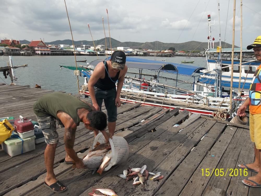 นอนหลับไปนานด้วยความเพลียในที่สุดเรือของไต๋สมชายก็เทียบท่า