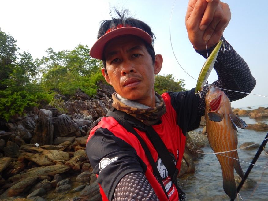 

เก๋าช่อม่วงชายฝั่ง กับ Rapala shadow rap 11  :cheer: :cheer: :cheer: :cheer:






