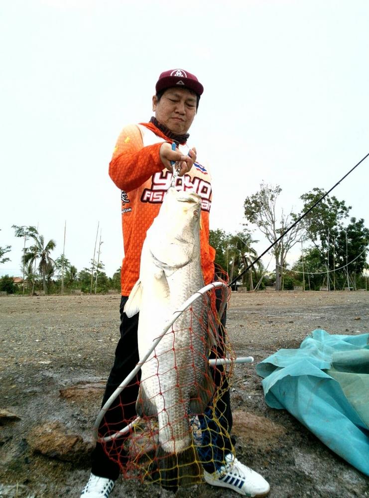 ตบเด็ก...ผู้ใหญ่ไม่ยอม part.1(กระพงยักษ์)บ่อบ้านญาติกรู..by yoyo fishingteam.