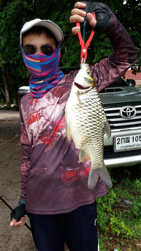 ตกปลามาทำกิน *ปลาแรด *ปลาตะเพียน @>>> ราชบุรี