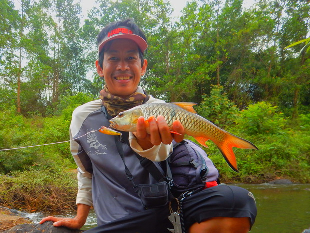 
Rapala ultralight pop 4 cm 

กับปลากระสูบขีด  :love: :love: :love: :love: :cheer: :cheer: :cheer