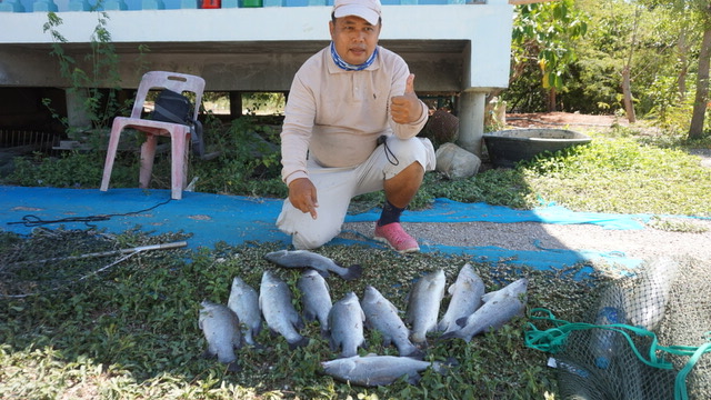 11 ตัว จัดไปน้าตุ้ย