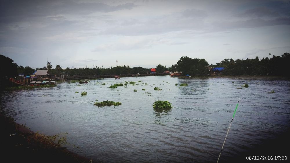 บรรยากาดยามเยน ที่ผักตบไม่มีเหือดหายคัพ