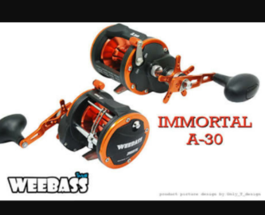 รอก weebass immortal  a30