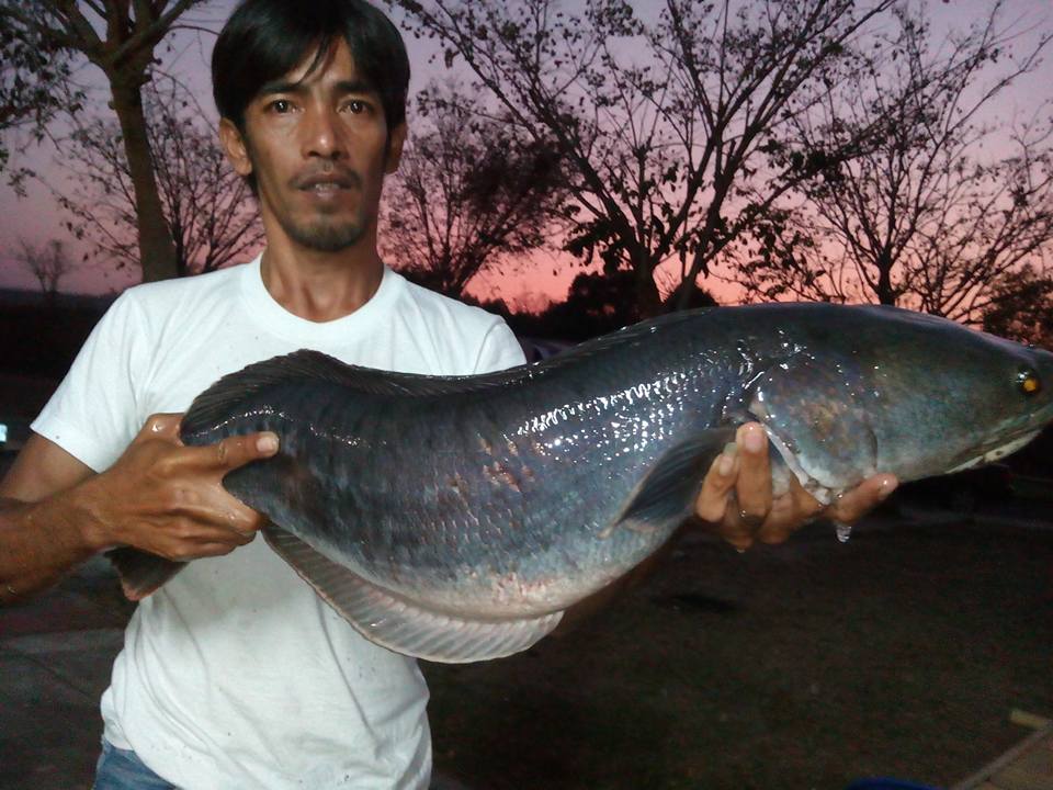 สนามกีฬาเฉลิมพระเกียรติ 80 พรรษา โคราช