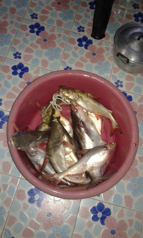 มาต่อ กันเลยครับ  