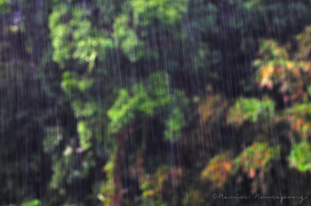 ติดฝนก็ดีไปอีกแบบ...อ.พิปูน นครศรีฯ