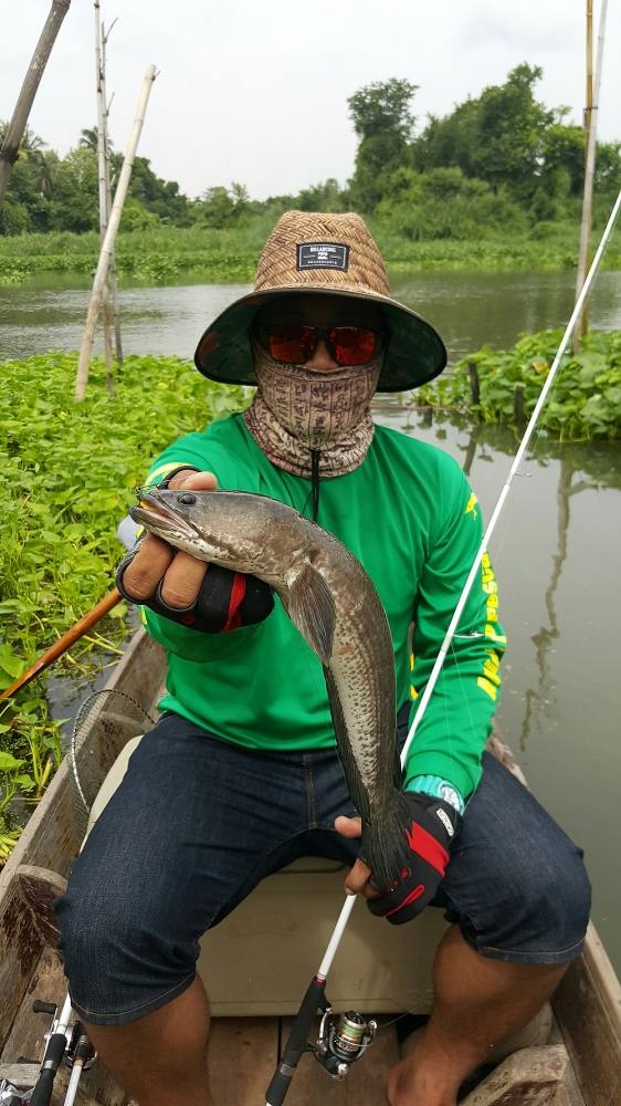 

[center][b] smile frog ใช้งานดีจริงๆครับ 





[/center][/b]