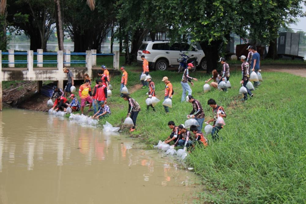..นำปลาลงน้ำพักปรับสภาพครับ