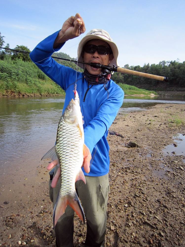 ตีก่อนได้ก่อนจริงๆน้าชัย หมานจริง rapala flat rap 8 CLN :grin: :grin: :grin: