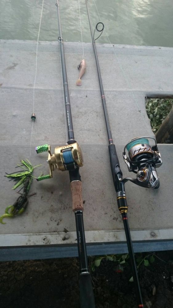  :cheer:

Rod: Major craft Volkey BLC VKC-76X/BL 14-30LB
Reel: Shimano Conquest 201
Lure: Berkle