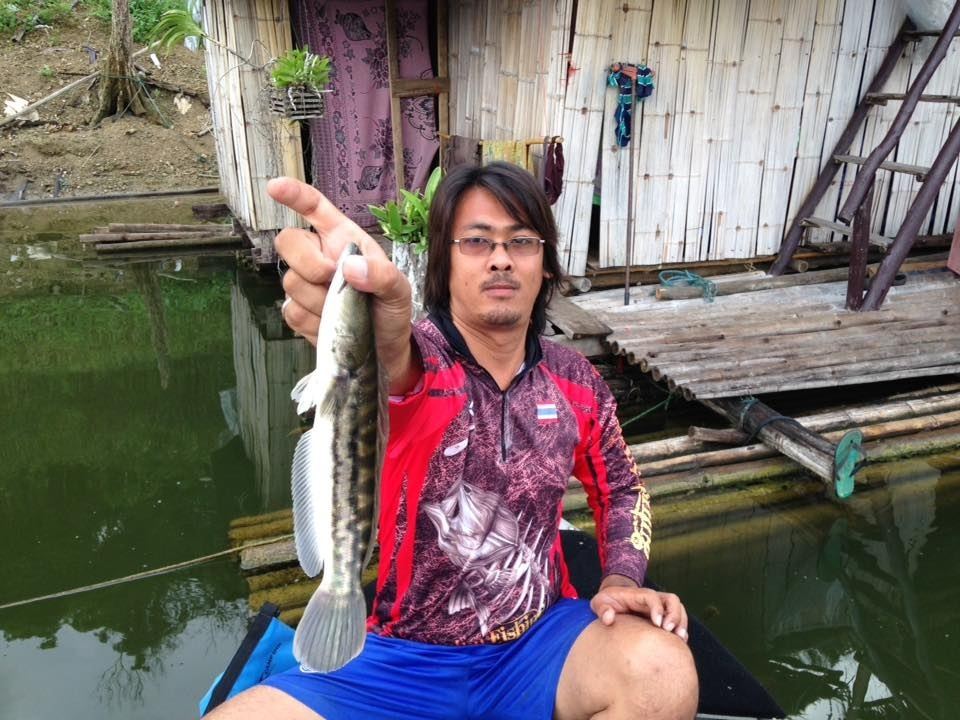ผมเองก็ไม่แห้วน่ะครับกับเจ้าชะโดป๊อกอ่ะ :grin: :grin: