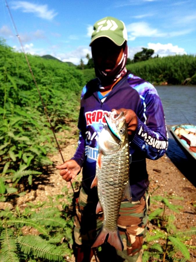 กัด  rapala flat rap 8 SB :grin: :grin: :grin: