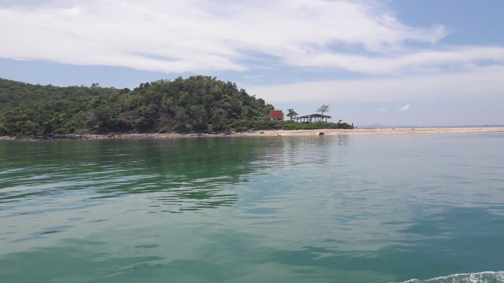 ฝูงเค้าล่ะครับ
อยู่เต็มหาดเลย