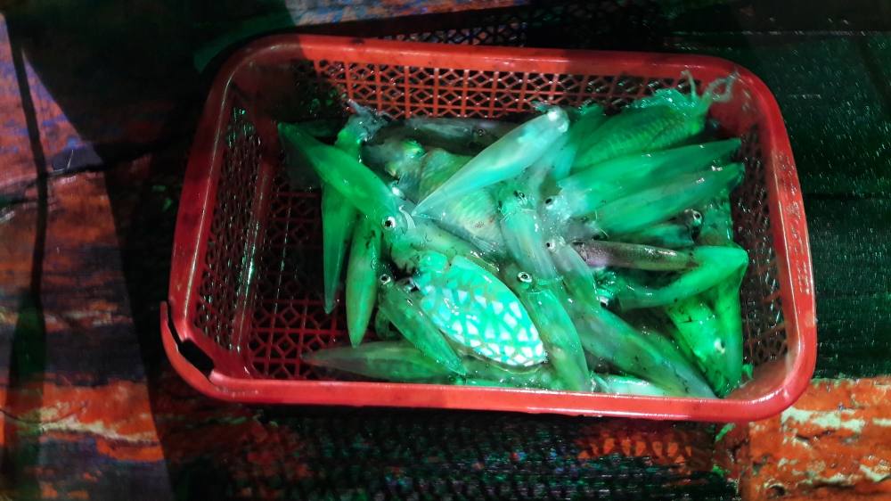 เก็บขึ้นมาเรื่อยๆ