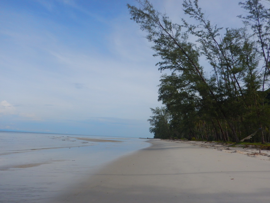 

เดินเลาะตามริมหาดผ่านแนวทิวสนชมบรรยากาศยามเช้าแบบชิวๆครับ  :smile: :smile: :smile:






