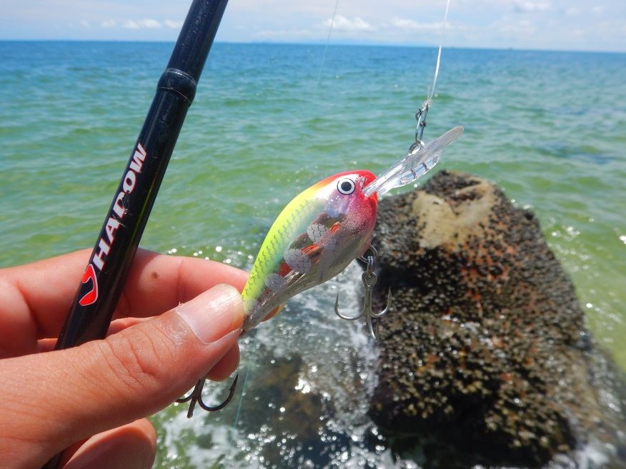 

เอาตัวนี้ออกมาครับ Rapala risto rap 5 คราวนี้กรอเรื่อยๆยาวๆ  :smile: :smile: :smile: :cheer: :ch