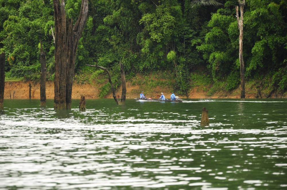 นั่นเรือน้องมอสกับเพื่อนทอมนี่หน่า 

ลำนั้น เน้นปลาหายาก ได้ช่อนข้าหลวงมาเพียบ 

 :love: :love: 