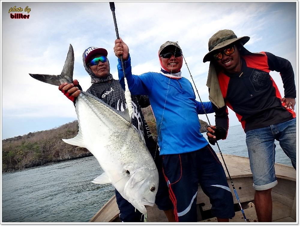 "jigging In Tarutao-Island"