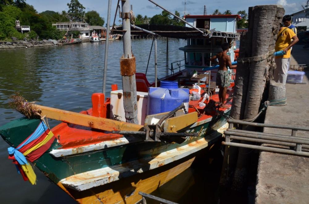 หัวเรือทรงพลัง  ฉุดช้างทะเลได้เป็นสิบๆ อิอิ