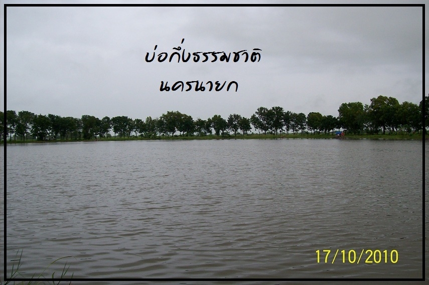 บ่อกึ่งธรรมชาติ 2010