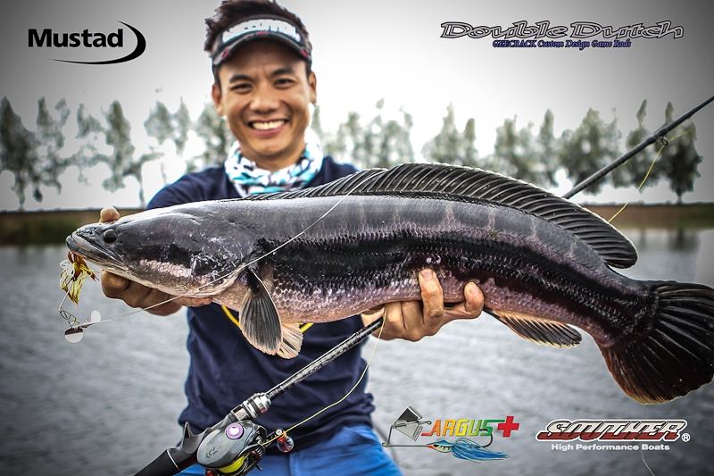 
 [b]
ชะโดป่าตัวแรก ของทริปเปิดตัว

Argus Plus 20g.

Mustad 6/0 

Rod: Geecrack Double Dutch