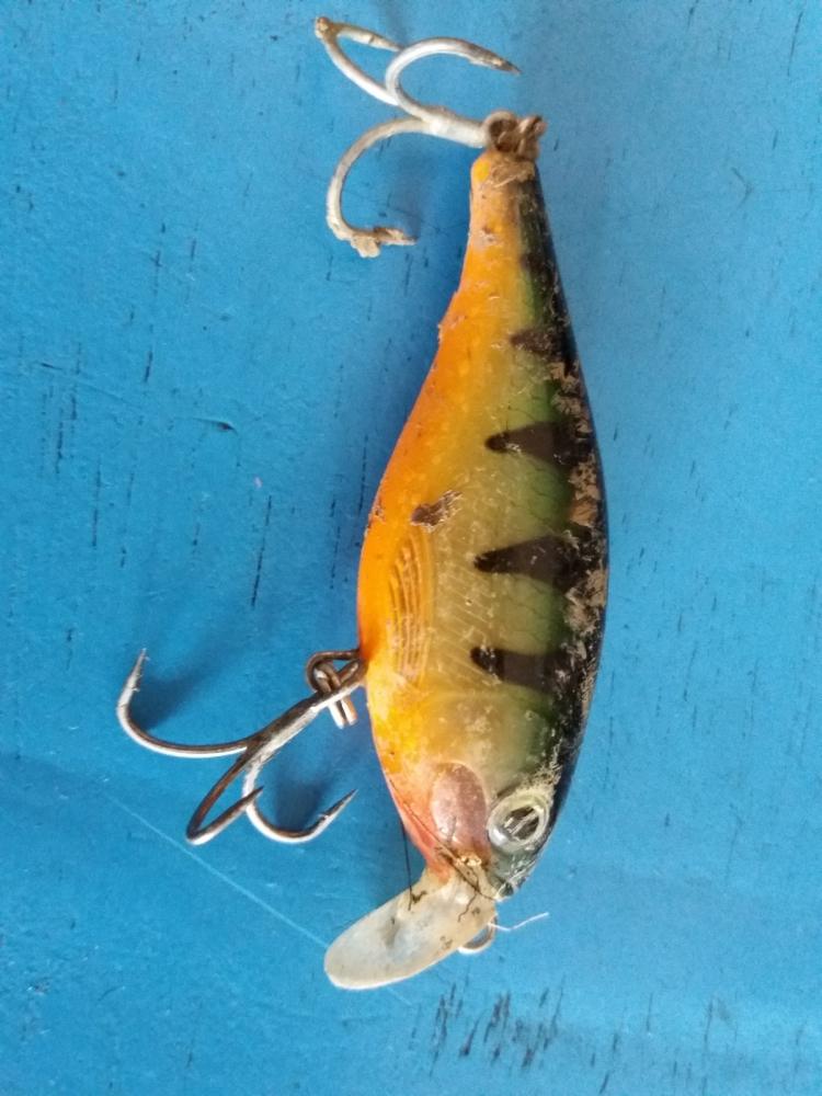 

เกือบไม่ได้ตัวแล้วครับ ปลากราย ติดขอเดียว  ช้าอีกนิดอด  ง้างแล้ว 

Rapala X-Rap Shad Shallow
