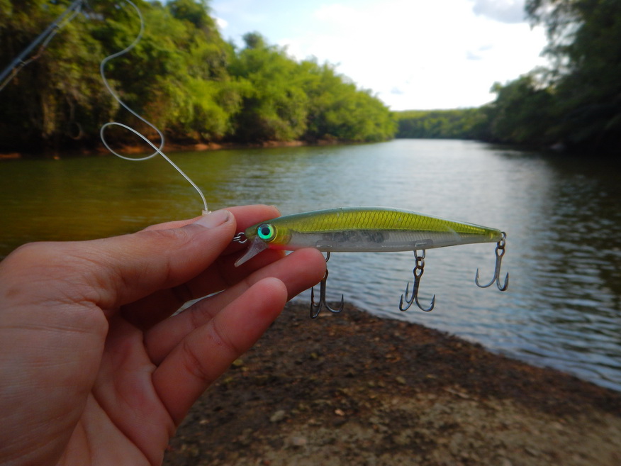 
แว๊บมาที่จุดหมายแรกครับริมคลองเลือกเอาเหยื่อตัวนี้ออกมาครับ Rapala shadow rap 11 ตัวนี้ดำตื้นครับ 