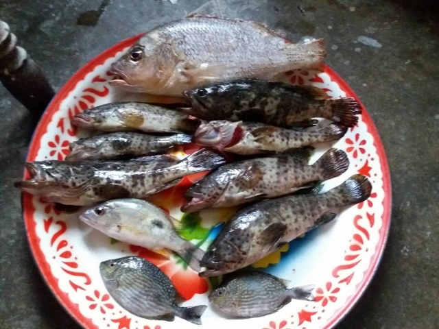 ปลารวม ทริปนี้ 2 ชั่วโมงครึ่ง
