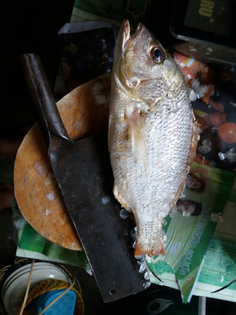 แปรสภาพ 2 เมนู