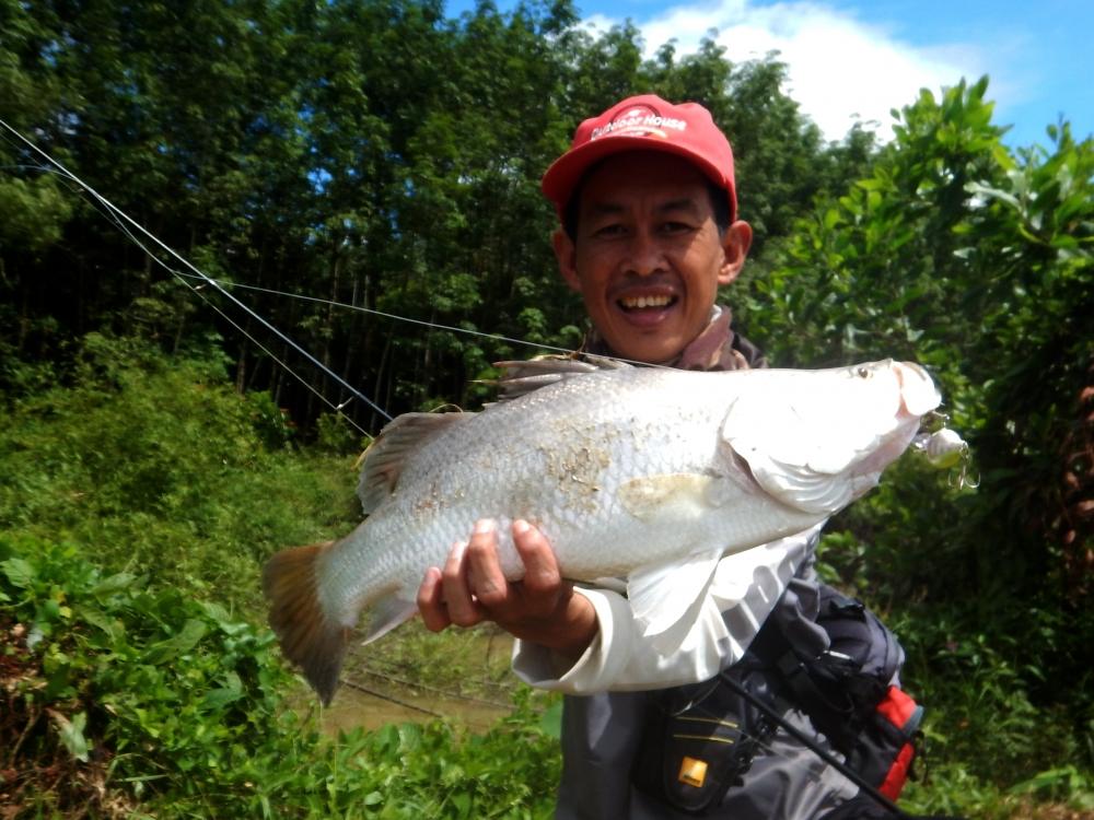 
 [center]เก็บภาพมาน้อยมากๆครับ กระทู้นี้ก็ขอลาไปด้วยภาพนี้ครับ กับผลงาน Rapala risto rap 5 cm 

