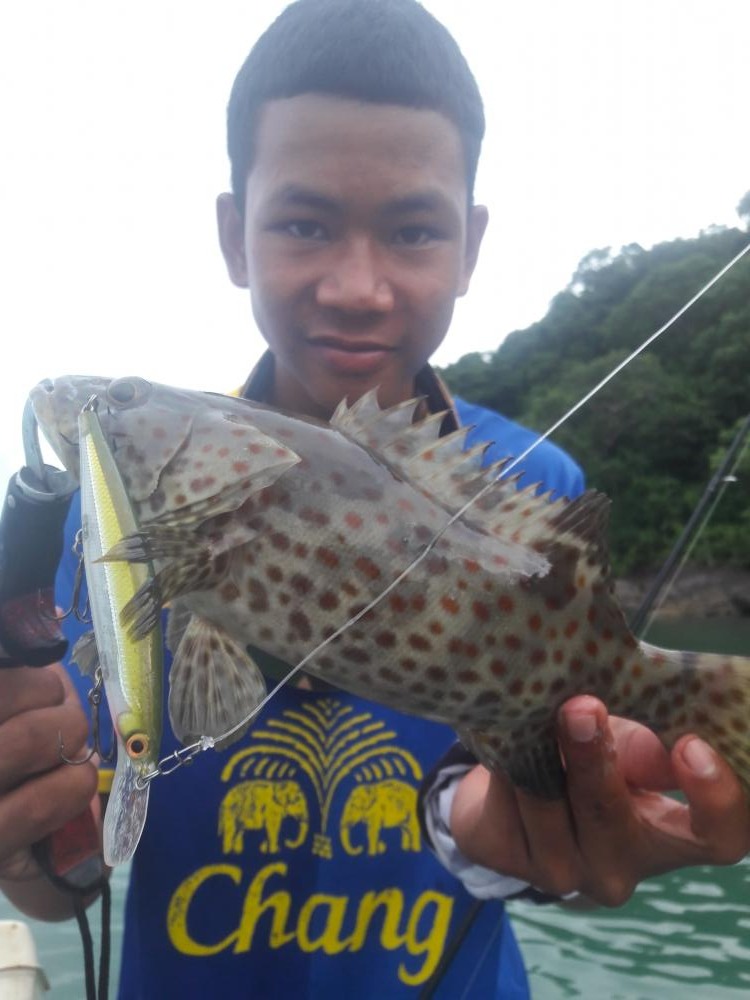 ตัวนี้ไต๋บอกว่า พี่ๆ ผมขอยืมเหยื่อหน่อยนะ... จัดปาย ใครใช้ก็หมาน

Rapala Shadow Rap Deep