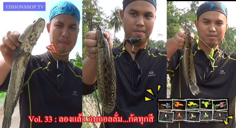 Fishonshop.TV Vol.33 : กบกอลลั่ม กัดทุกสี