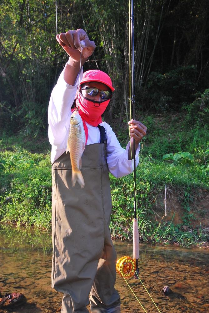 ทริปนี้เดินป่า ตี FLY กับปลาน้ำไหล พลวง เวียน หยา และกระสง ตามคลองต่างๆ ของหน่วยคลองหยาคลองแสง  :che