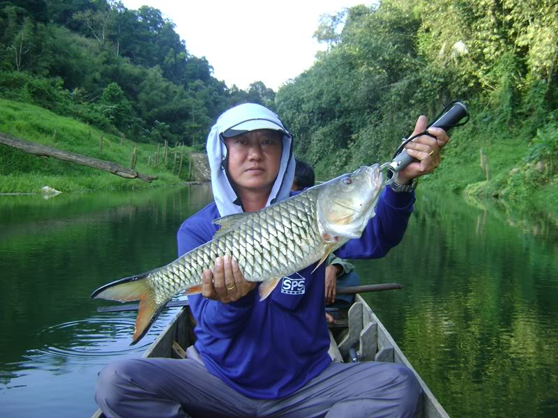 กระสูบก็ใหญ่ครับ หาไม่ยากเลยนะไซด์นี้เมื่อก่อน