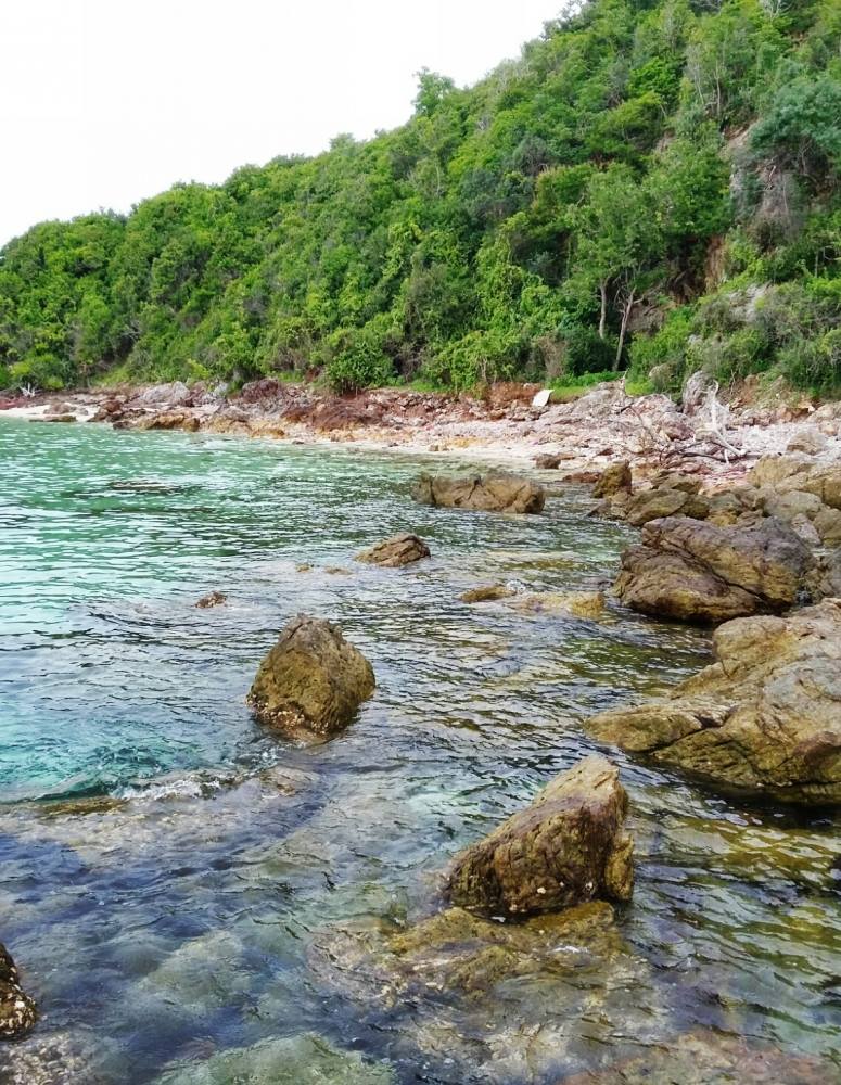 หาดตายาย หาดที่ไม่ค่อยมีใครพูดถึงว่าหมึกจะเข้า สารภาพตรงๆว่าตั้งใจจะมาเล่นน้ำนั่นแหละ แต่ก็เตรียมอุป