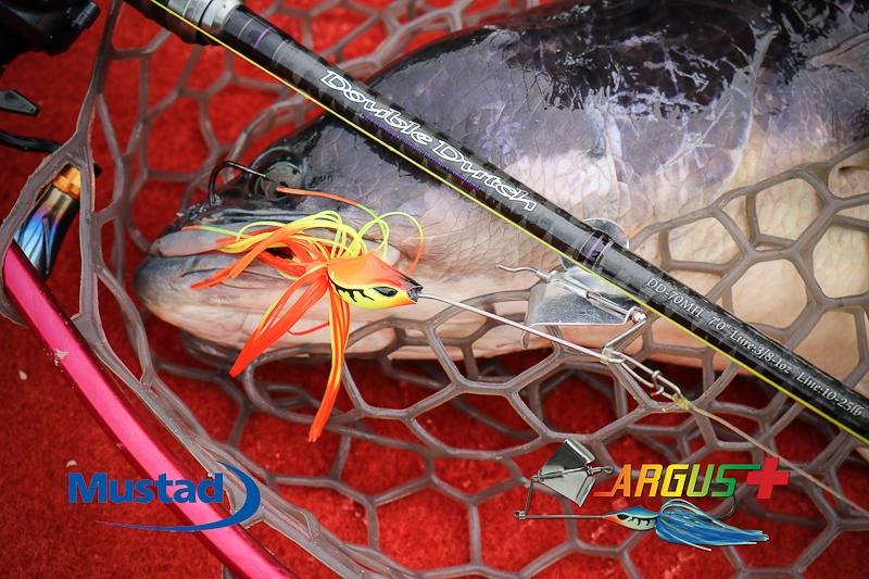  [center][b] 

เบ็ด Mustad ทะลุ!

Rod: Geecrack Double Dutch Dusty Mirror 70MH 10-25lb

Lure: 