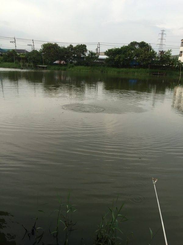 วิ่งปรี๊ดดด ปล่อยสายแทบไม่ทันหลังจากเริ่มจับคันสู้ได้
