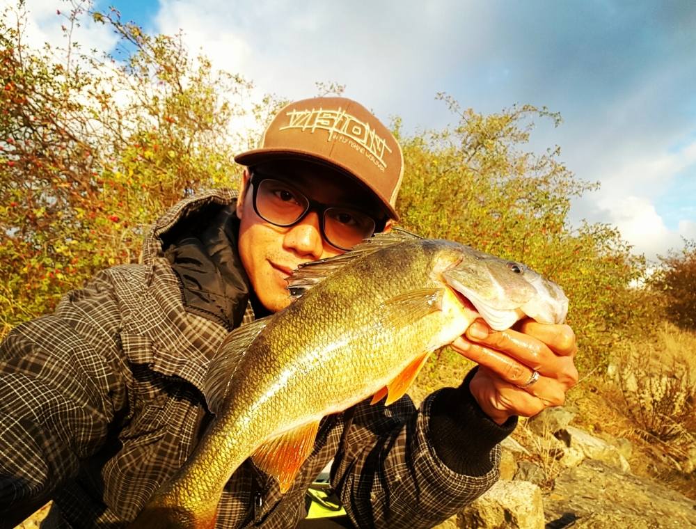 ปลา Perch อีกตัว ตัวนี้ใหญ่สุดเลย ยาว40cm